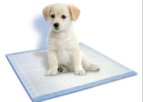 Disposable Pet Urinal Pads Hydrophilic ES Nonwoven Fabrics