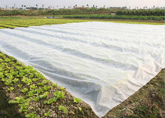 شراء غطاء الزراعة الزراعية من البولي بروبلين من النسيج غير المنسوج online manufacture
