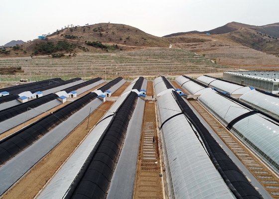 شراء المورد أو الشركة المصنعة أو المصنع للقماش الزراعي لمكافحة الأعشاب الضارة online manufacture