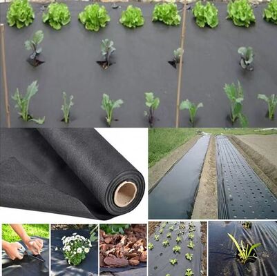 شراء Vegetable Agriculture Nonwoven Fabric Anti - frost Fruit Bag Winter Protect Use Nonwoven online manufacture