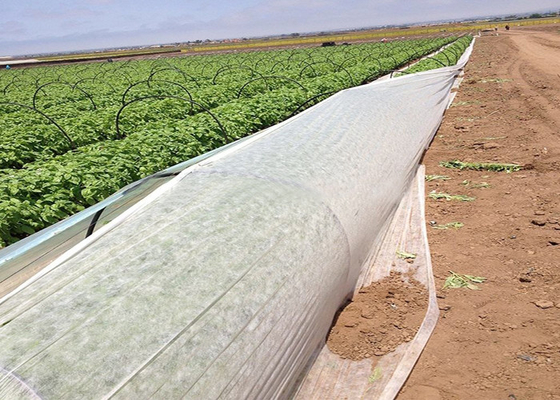 شراء أقمشة غير منسوجة للزراعة ضد العفن الفطري 1٪ - 4٪ معالجة بالأشعة فوق البنفسجية ISO14000 online manufacture