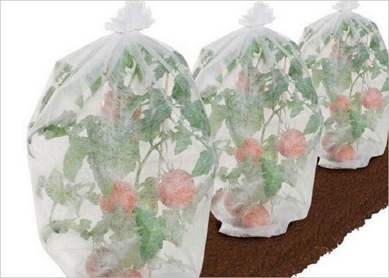 شراء صديقة للبيئة الزراعة PP أقمشة غير منسوجة 1٪ - 4٪ UV المعالجة OEM ODM online manufacture