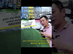 غير منسوج ثنائي اللون أخضر وأسود للتحكم في الأعشاب الضارة وعكس الضوء