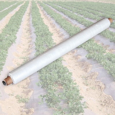 الاسم